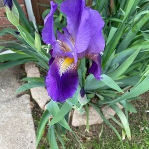 Meet your Posher, Pam